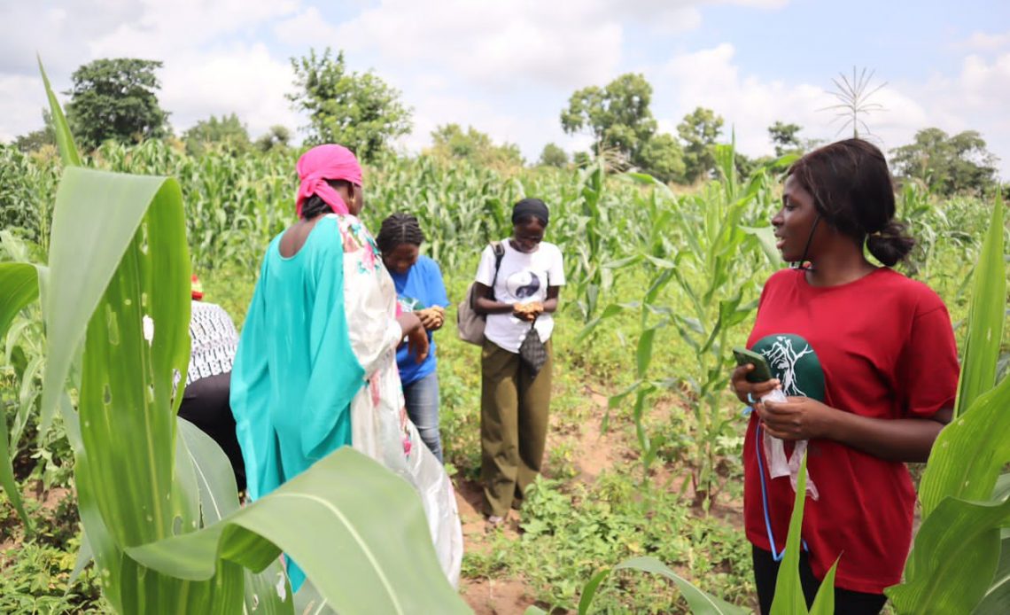 Project Rebirth community programme